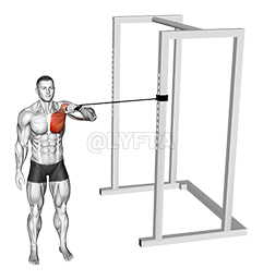 Band Cross Body One Arm Chest Press demonstration