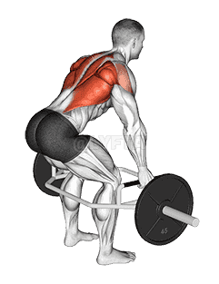 Trap Bar Bent Over Row demonstration