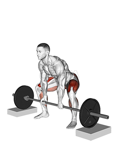 Barbell Sumo Deadlift from Blocks demonstration