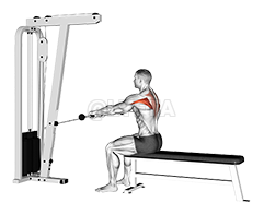 Cable Seated Horizontal Shrug demonstration