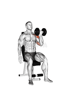 Dumbbell Seated One Arm Arnold Press demonstration