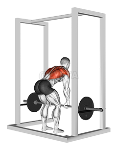 Barbell Deadstop Row with Rack demonstration