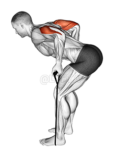 ក្រុមតន្រ្តី Triceps Kickback demonstration