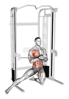 Cable Half Kneeling Adductor Pallof Press demonstration