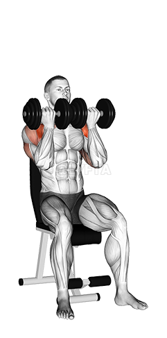 Dumbbell Seated Close Grip Press demonstration