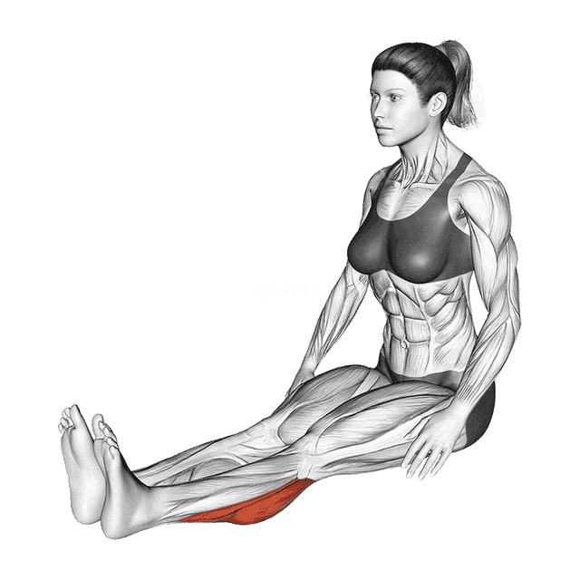 Seated Calf Stretch demonstration