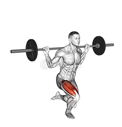 Barbell Single Leg Squat demonstration