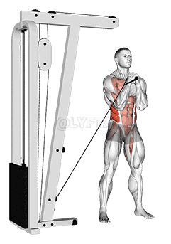 Cable horizontal Pallof Press demonstration