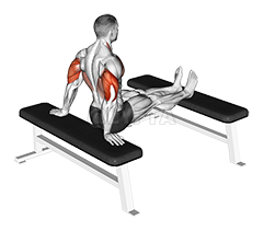 Bench Dip with legs on bench demonstration