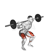 Barbell Squat 2 sec Hold demonstration