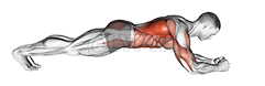 Body Saw Plank demonstration