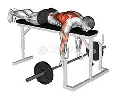 Barbell Lying Close-Grip Underhand Row on Rack demonstration