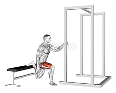 Assisted Bulgarian Split Squat demonstration