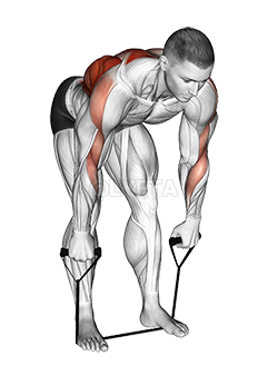 Band Bent Over Wide Grip Row demonstration