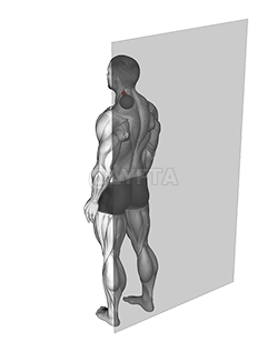 Roll Ball Scapula Levator demonstration