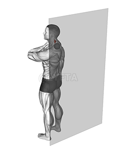 Roll Ball Scapula Levator demonstration