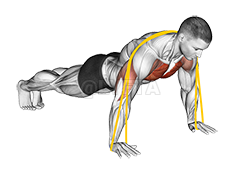 Resistance Band Push-Up demonstration