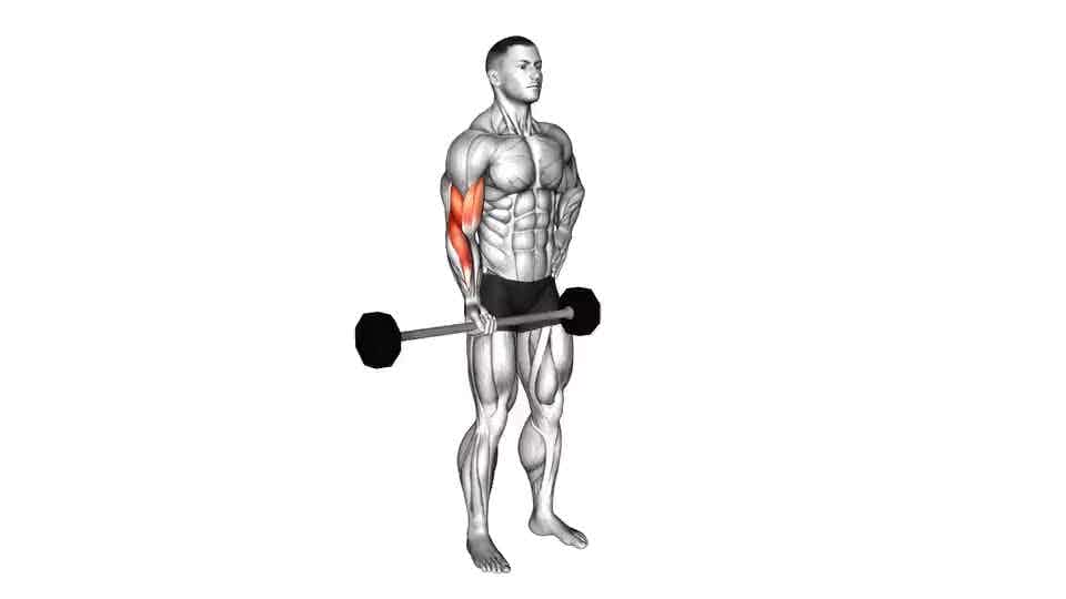 Thumbnail for the video of exercise: Curl de bíceps alternativo con barra