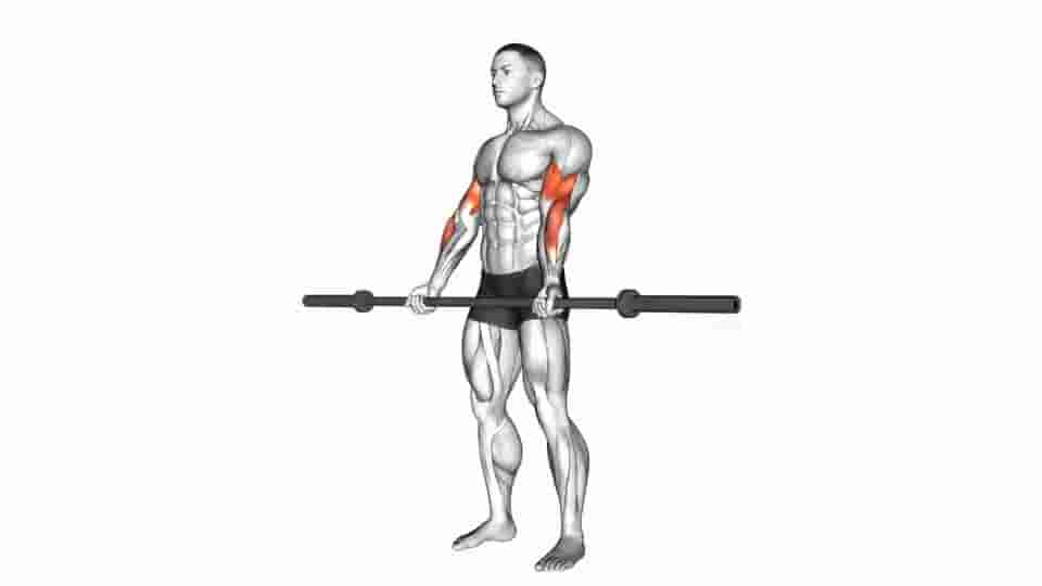 Barbell Curl - Video Guide | Lyfta