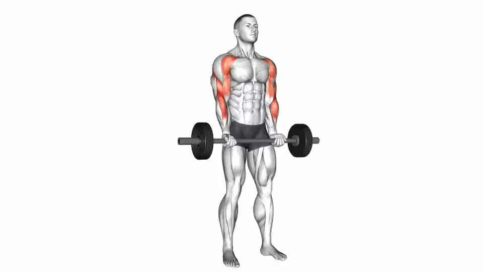 Thumbnail for the video of exercise: Barbell Drag Curl