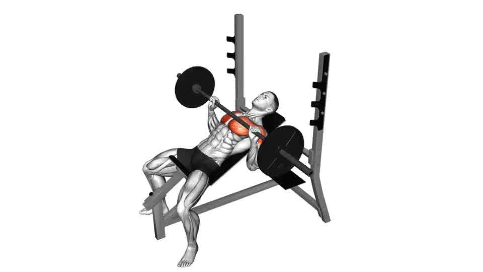 Thumbnail for the video of exercise: Barbell Incline Bench Press