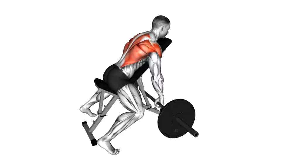 Thumbnail for the video of exercise: Barbell Incline Row