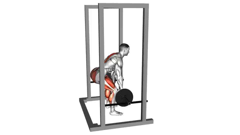 Thumbnail for the video of exercise: Barbell Rack Pull