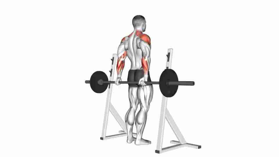 Thumbnail for the video of exercise: Barbell Rear Delt Raise