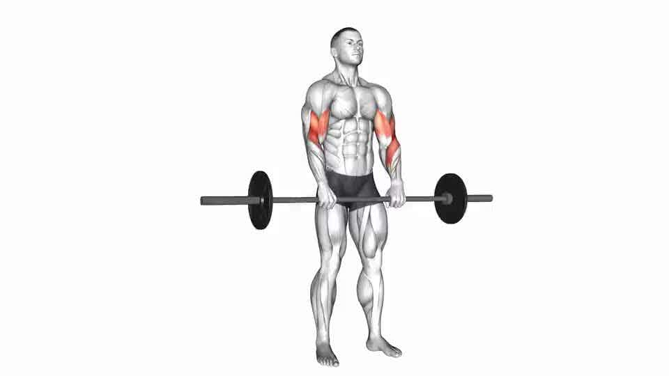 Thumbnail for the video of exercise: Barbell રિવર્સ કર્લ