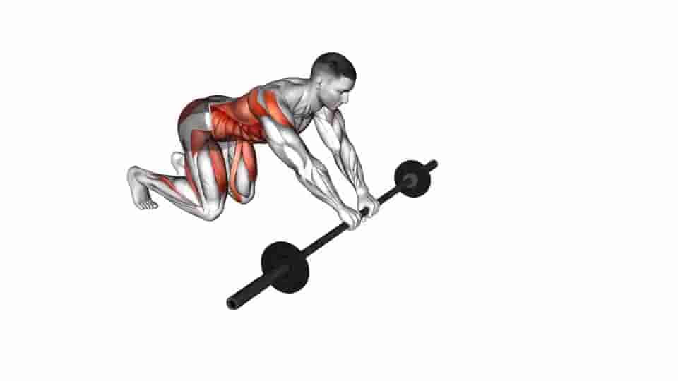 Thumbnail for the video of exercise: Barbell Rollout