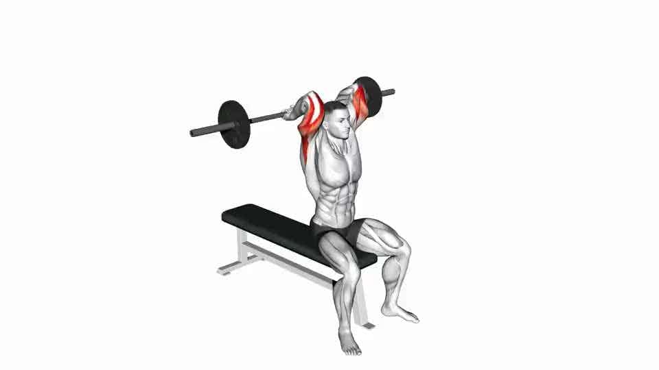 Thumbnail for the video of exercise: Barbell Seated Overhead Triceps Extension