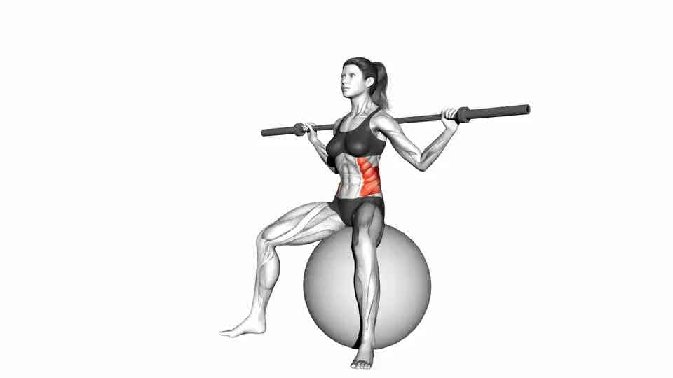 Thumbnail for the video of exercise: Barbell Seated Twist