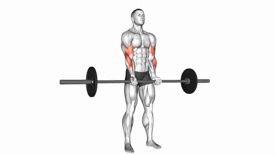 Thumbnail for the video of exercise: Barbell સ્ટેન્ડિંગ બંધ પકડ curl