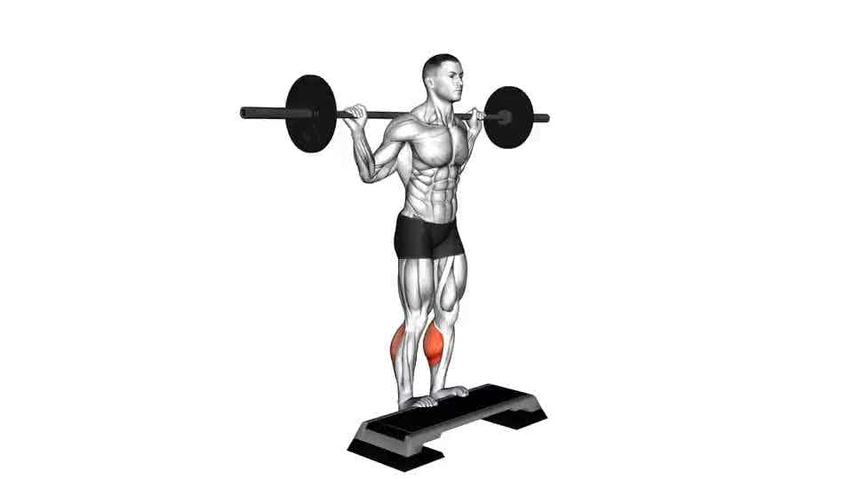 Thumbnail for the video of exercise: Standing Leg Calf Raise