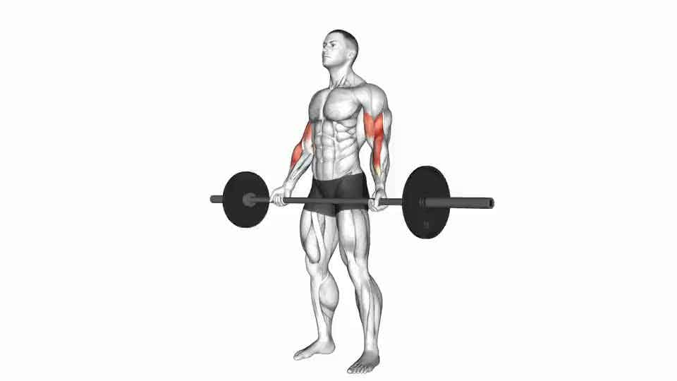 Thumbnail for the video of exercise: Barbell Standing Wide-grip Curl