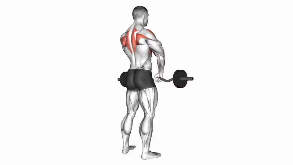 Barbell Upright Row - Video Guide
