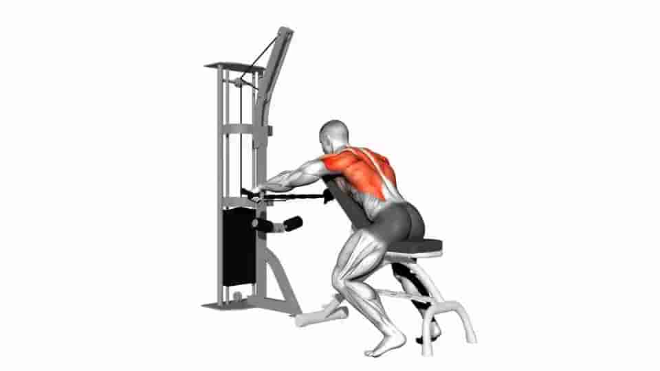 Seated cable row exercise instructions and video