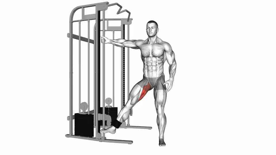 Thumbnail for the video of exercise: Cable Hip Adduction