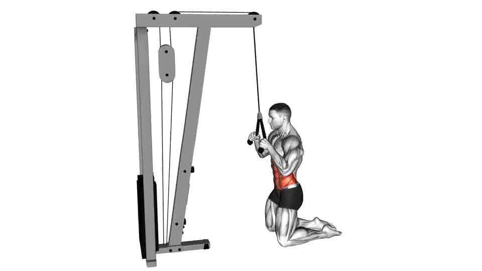 Thumbnail for the video of exercise: Cable Kneeling Crunch