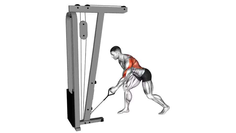 Thumbnail for the video of exercise: Cable One Arm Bent over Row