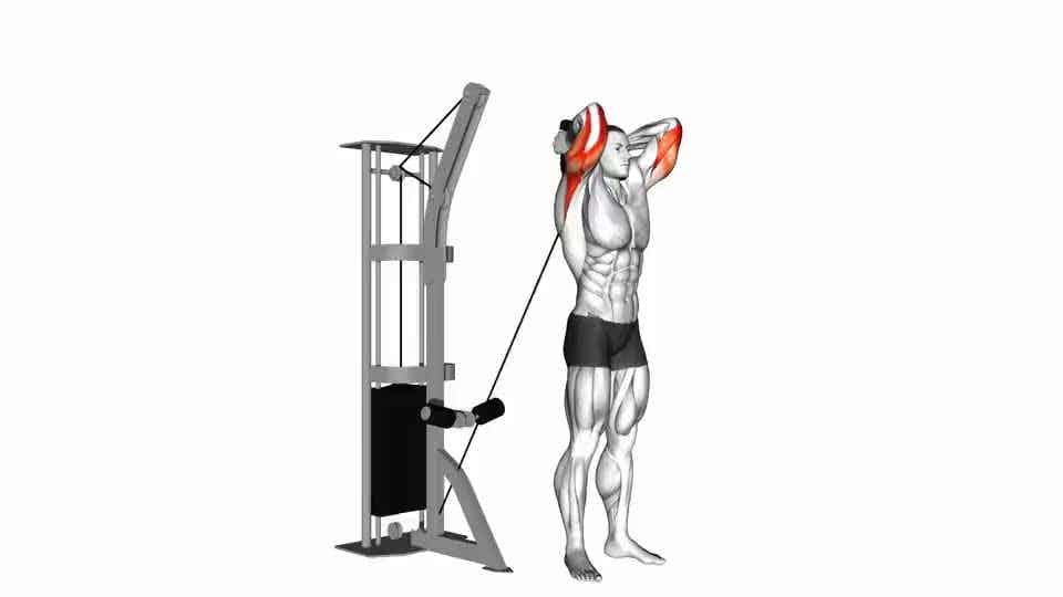 Thumbnail for the video of exercise: Cable Overhead Triceps Extension
