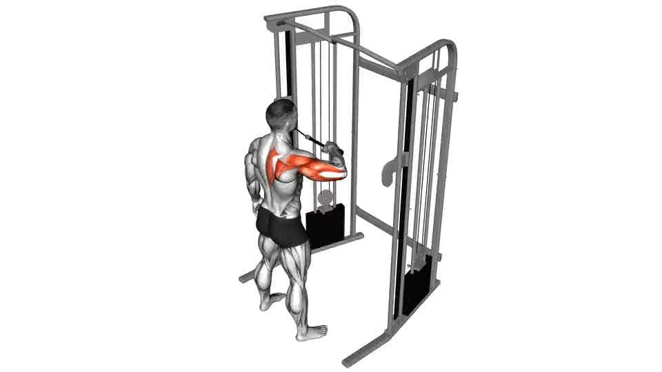 Thumbnail for the video of exercise: Cable Rear Drive