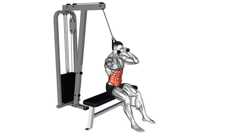 Thumbnail for the video of exercise: Cable Seated Crunch