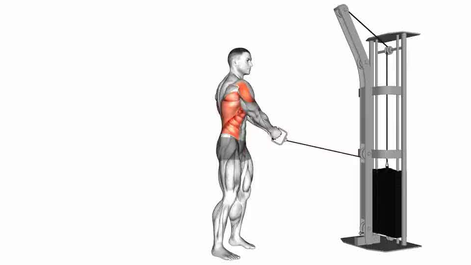 Thumbnail for the video of exercise: Cable Standing Lift