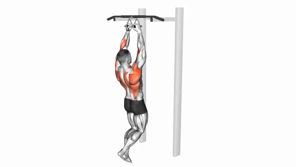 Thumbnail for the video of exercise: Chin-ups