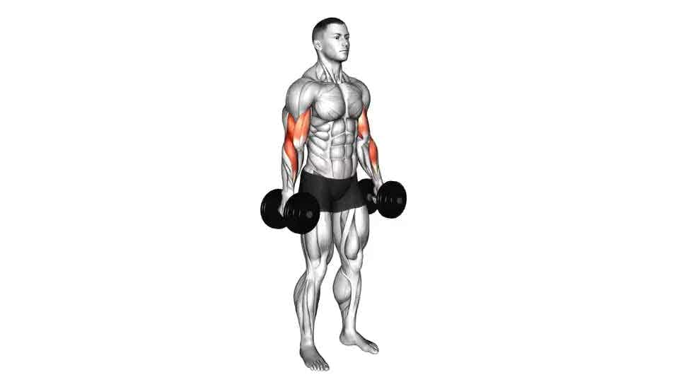 Thumbnail for the video of exercise: Dumbbell Hammer Curl