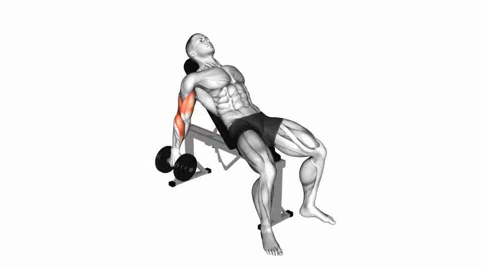 Thumbnail for the video of exercise: Dumbbell Incline Biceps Curl