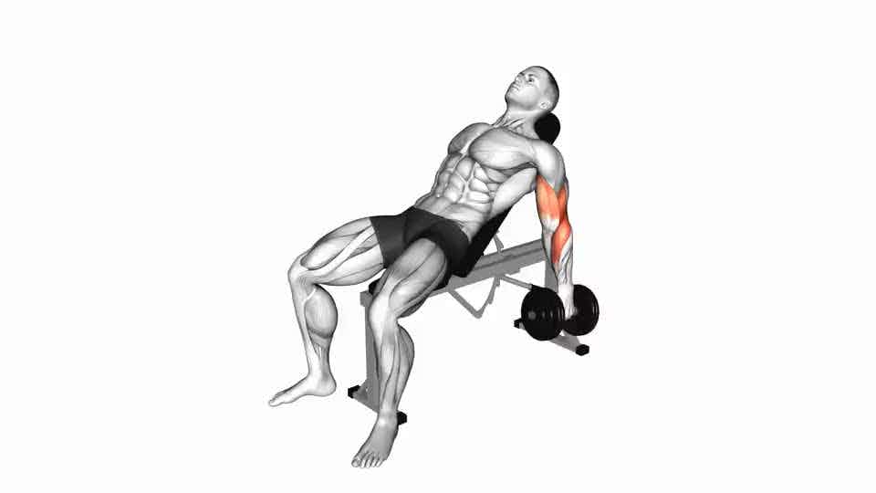 Thumbnail for the video of exercise: Dumbbell Incline Hammer Curl
