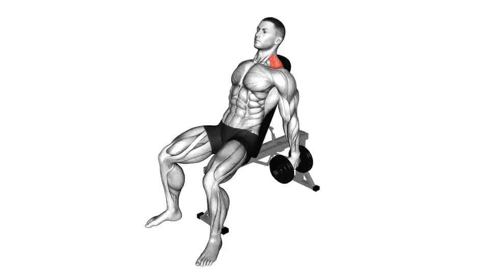 Thumbnail for the video of exercise: Incline Shrug
