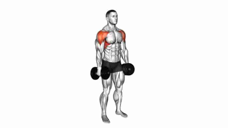 Lateral Raise - Video Guide 